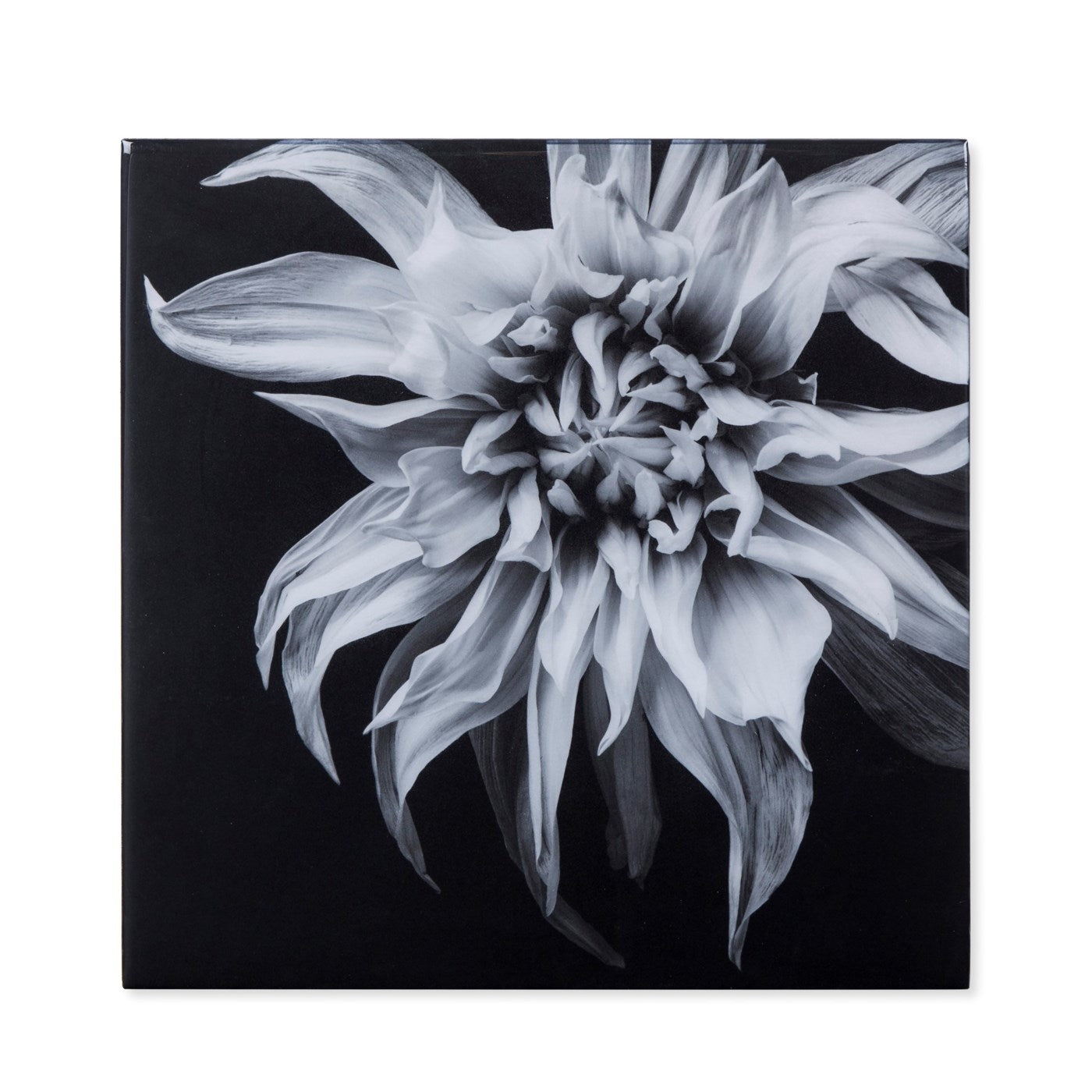 Kelly Hoppen BLACK & WHITE FLOWER - EPOXY / F