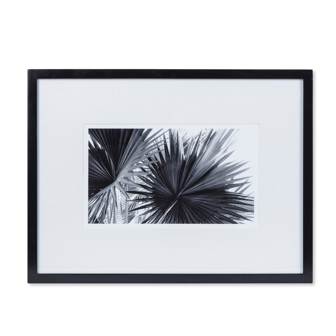 Kelly Hoppen BLACK & WHITE PALM LEAVES - B